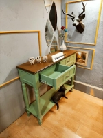 کنار سالنی رویا 
