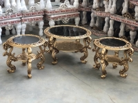جلو مبلی 307